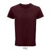CRUSADER MEN burgundy