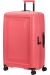 DASHPOP SPINNER 77 EXP Sugar Pink